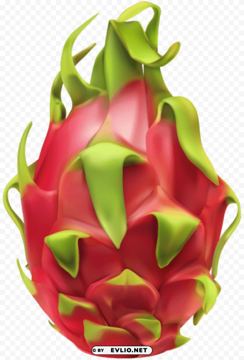 pitaya Transparent PNG images collection