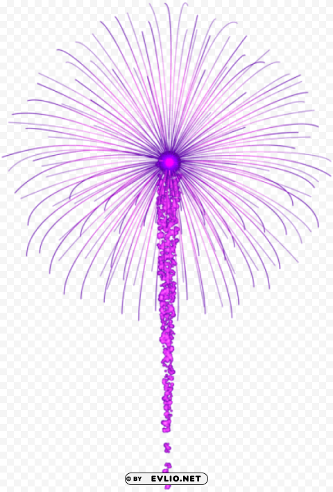 purple fireworks for dark s Clean Background PNG Isolated Art