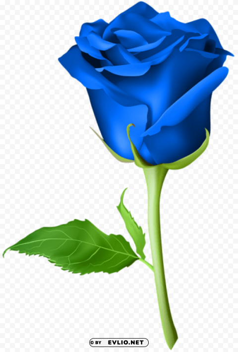 PNG image of rose blue PNG with transparent overlay with a clear background - Image ID c86f6ca4