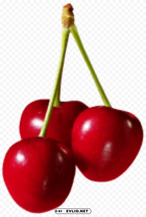 cherries fruit HighResolution Isolated PNG with Transparency