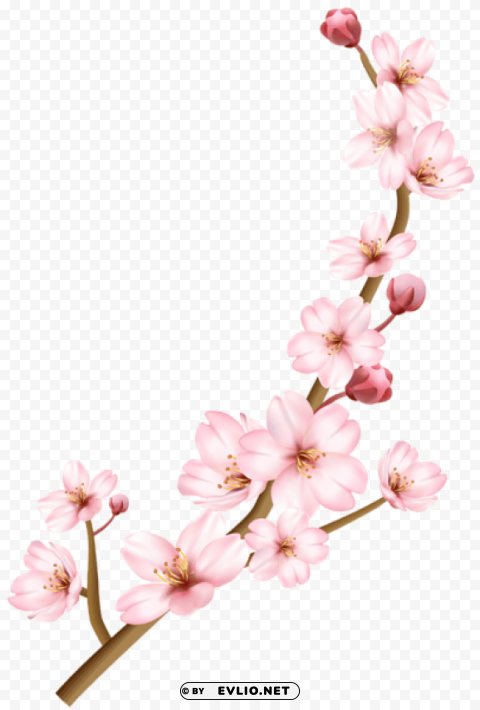 spring branch transparent PNG high quality