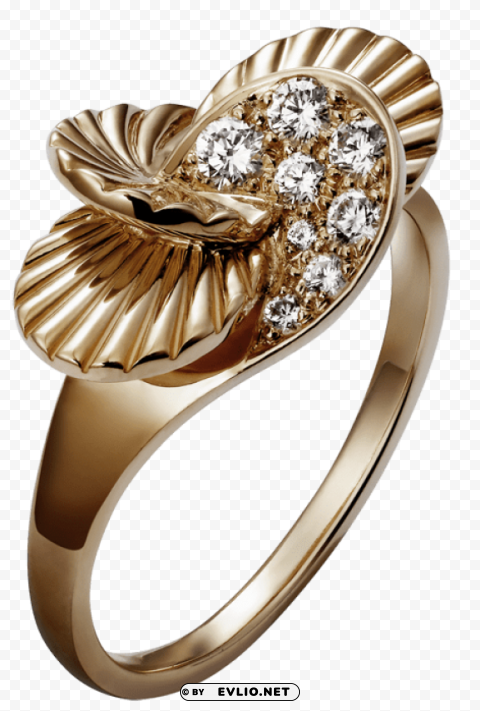 elegant golden ring Transparent Background PNG Isolated Element