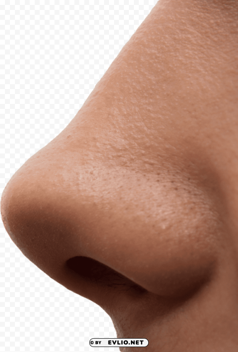 human nose PNG files with clear background bulk download