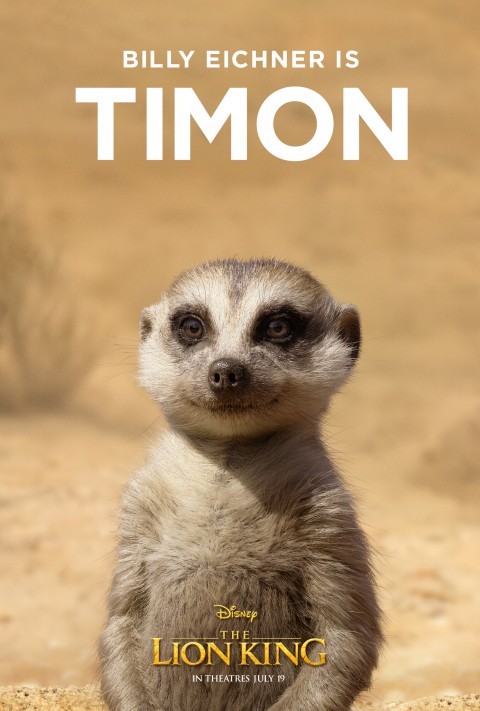 the Lion King 2019 Poster With timon Background-less PNGs