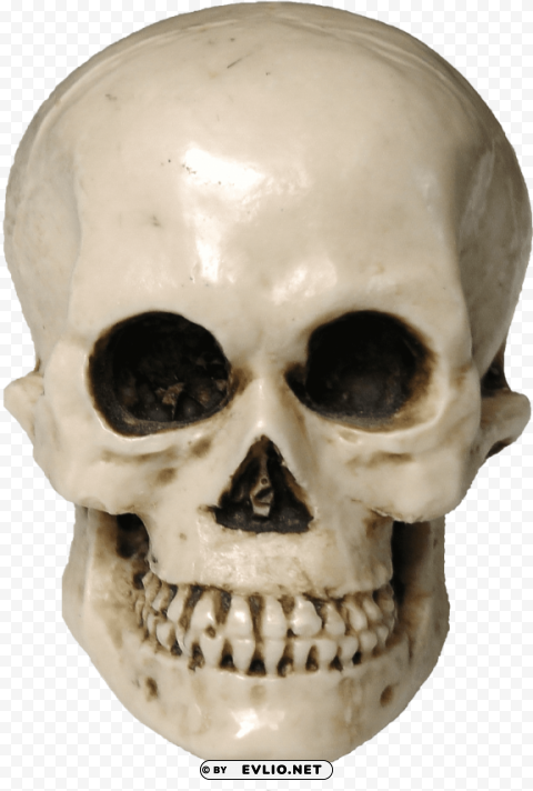 Skull PNG With Transparent Backdrop