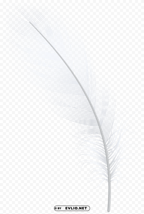 Feather White PNG Images With Alpha Transparency Free