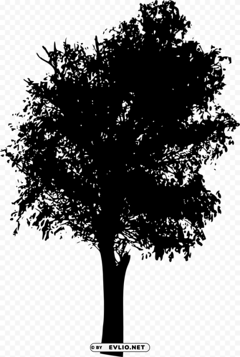 tree ilhouette Isolated Item with HighResolution Transparent PNG