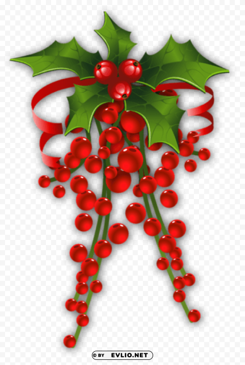mistletoe decor Free PNG images with transparent layers diverse compilation