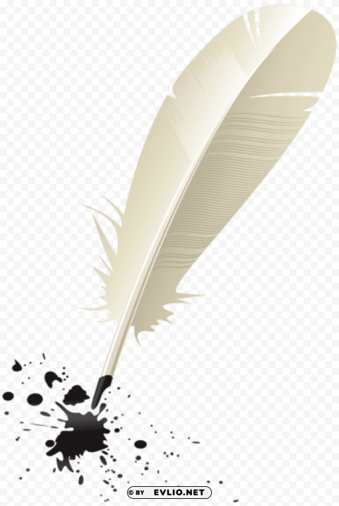 quill and ink PNG clear background