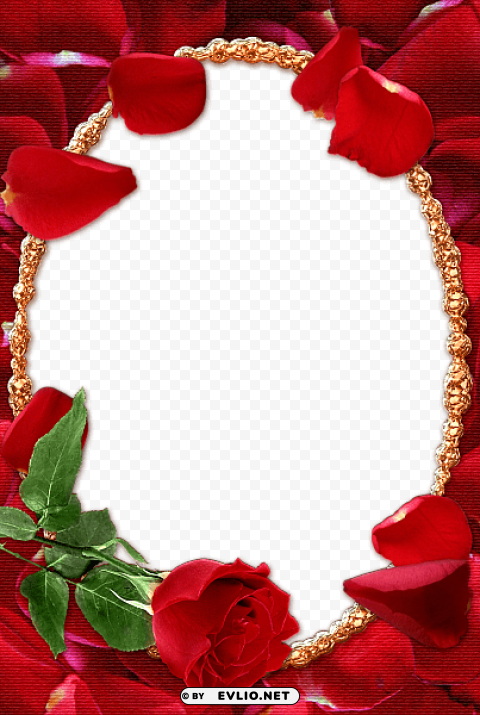 rose transparent frame PNG images with alpha transparency selection