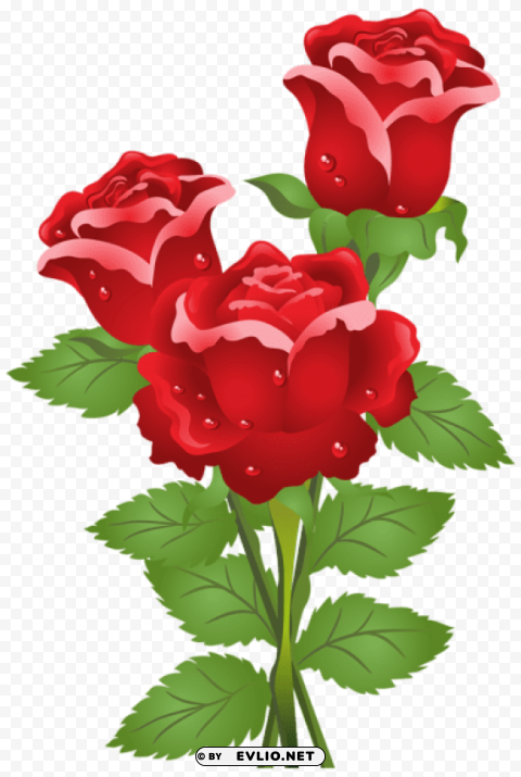 roses Isolated Artwork on HighQuality Transparent PNG