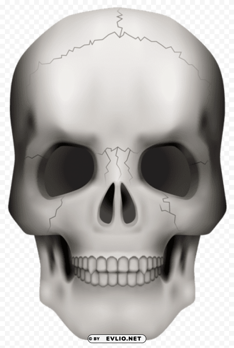 Skull Free Download PNG With Alpha Channel