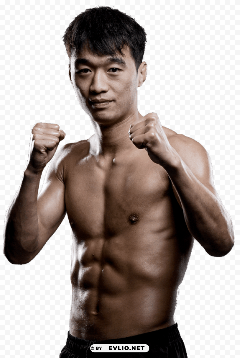 tiger gao PNG images with alpha transparency diverse set