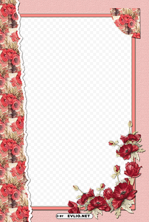  Flower Red Frame Transparent Background PNG Stockpile Assortment