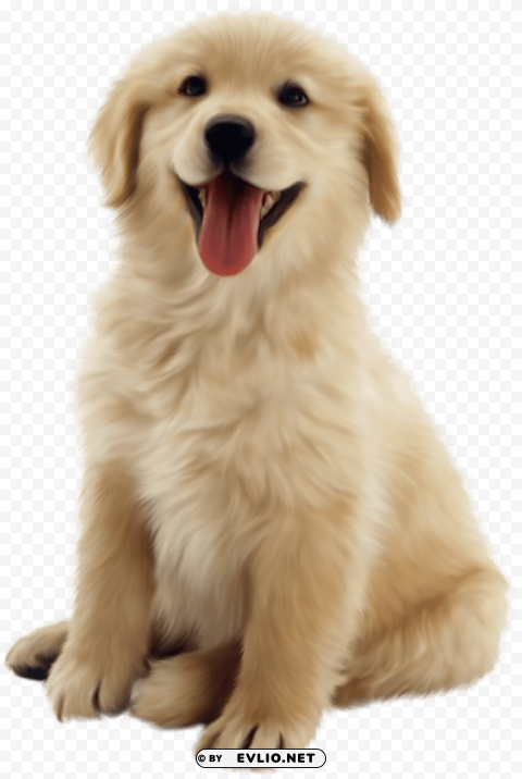 cute puppies s Transparent PNG Artwork with Isolated Subject