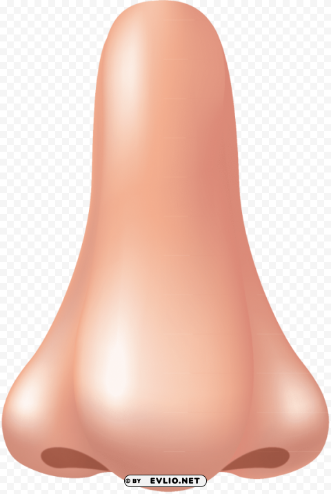 human nose PNG Object Isolated with Transparency