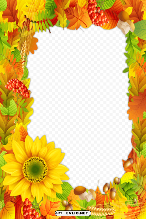 fall colorsframe Isolated Design Element in HighQuality Transparent PNG