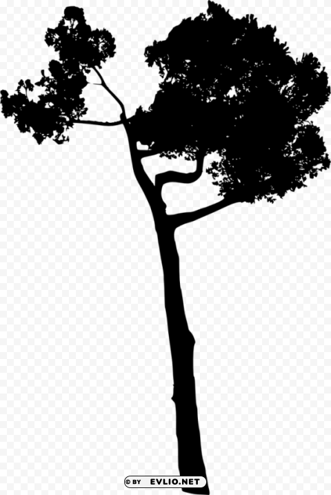 tree silhouette HighQuality Transparent PNG Isolated Object