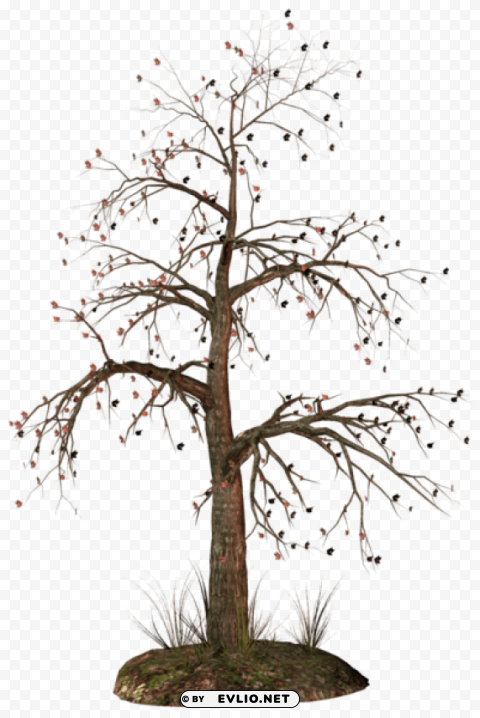 dead tree Isolated Item in HighQuality Transparent PNG