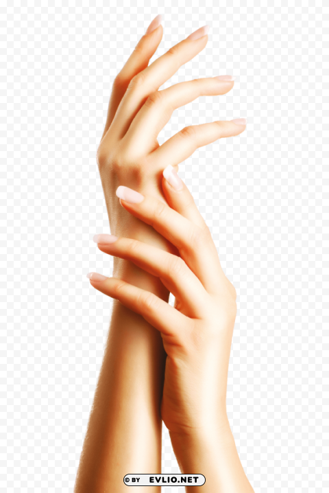 nails PNG Image Isolated on Clear Backdrop