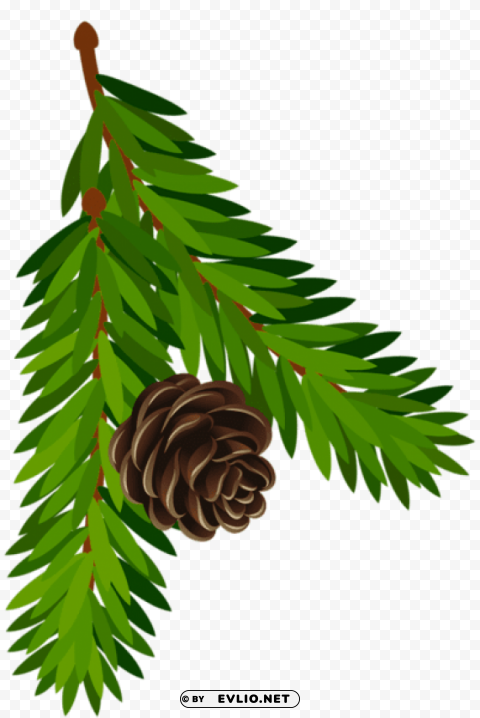  pine branch with cone art Isolated Icon on Transparent Background PNG