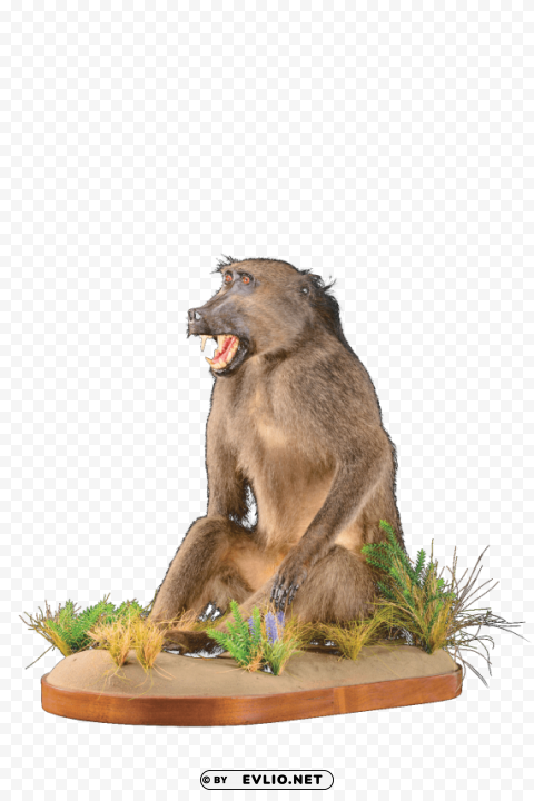 baboon Transparent background PNG images selection png images background - Image ID 867fc1cd