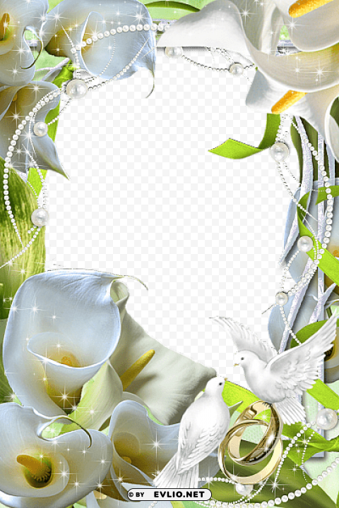 beautiful flowers wedding transparent frame PNG images with clear backgrounds