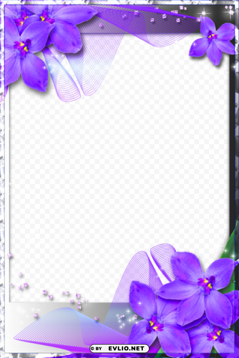 beautiful transparent frame with purple orchids PNG pictures without background