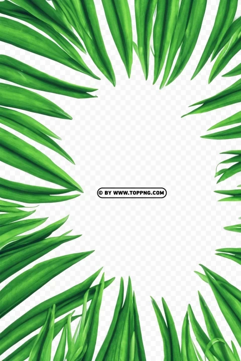 Free Green Leaves Frame Tropical Forest Clear Image PNG