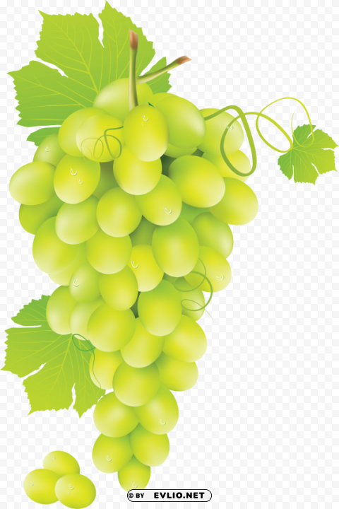 grapes Transparent Background Isolated PNG Design Element