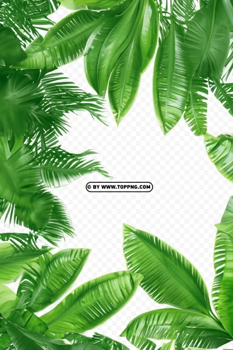 Green Leaves Frame Tropical Forest Clear pics PNG - Image ID ed29485c