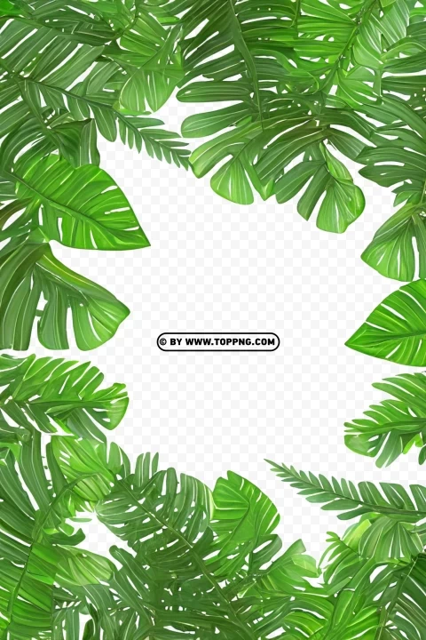HD Tropical Forest Green Leaves Frame Clear PNG file
