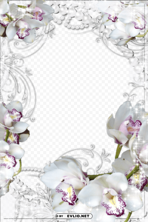 photo frame with white orchids PNG Image Isolated with Transparency