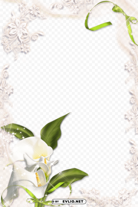 transparent calla lilyframe PNG Image with Isolated Element