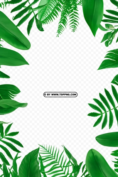 Tropical Forest Green Leaves Frame HD Clear PNG image