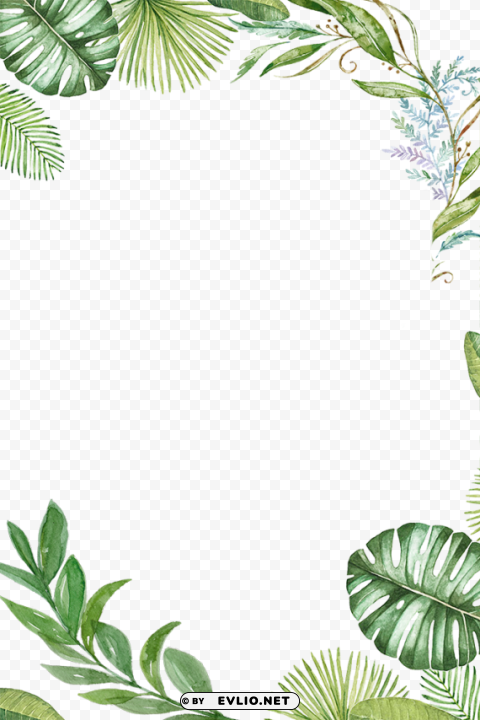 tropical leaves frame Isolated PNG Item in HighResolution