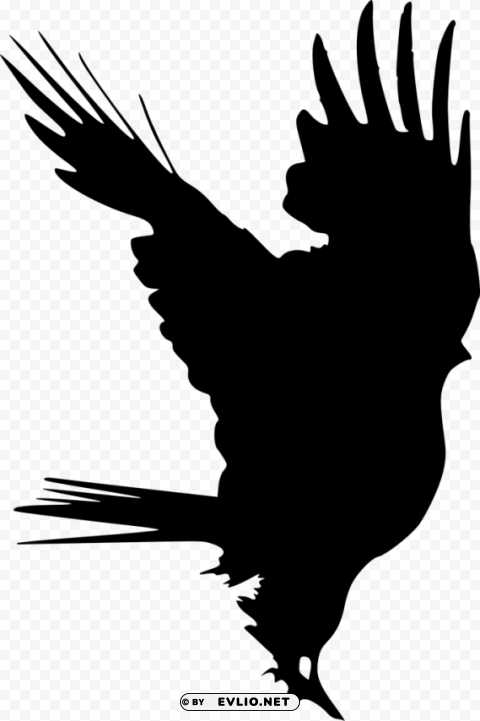 bird silhouette PNG graphics with clear alpha channel selection