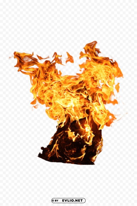fire Isolated Illustration in HighQuality Transparent PNG