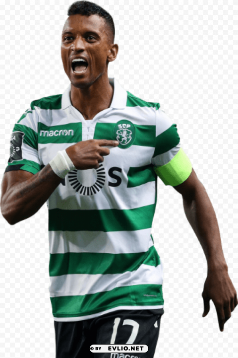 luís nani PNG files with transparent canvas collection
