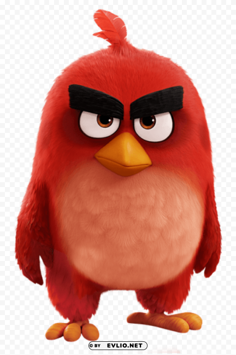 red bird the angry birds movie PNG images for personal projects