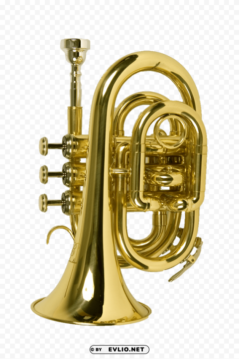 trumpet Isolated Element in Clear Transparent PNG