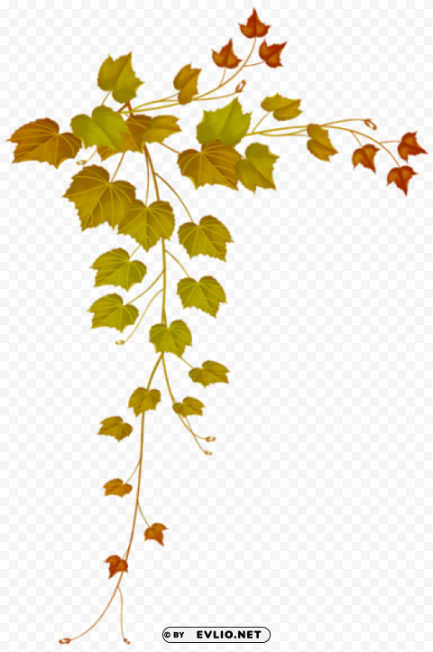 fall decorative leaves Transparent background PNG clipart