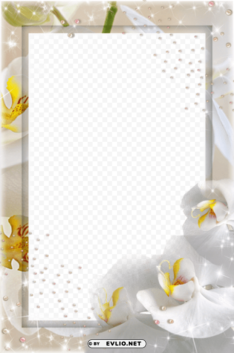 transparent photo frame with white orchids PNG high quality