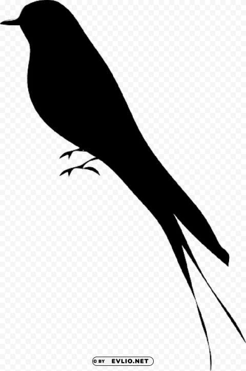 bird silhouette PNG images for printing