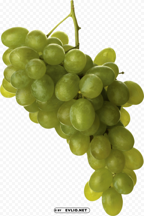 green grapes Isolated Graphic on HighQuality Transparent PNG