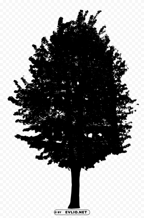 Black Tree PNG Graphics With Transparency