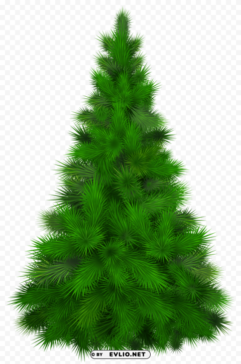 green pine tree ClearCut Background PNG Isolation