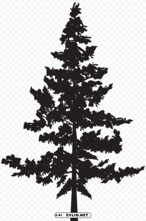 tree silhouette PNG Graphic with Transparent Isolation