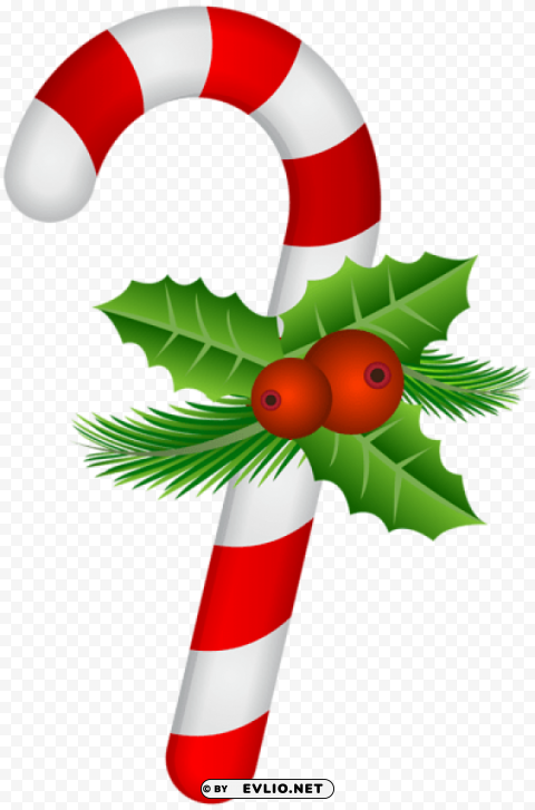 candy cane with holly PNG Isolated Object on Clear Background