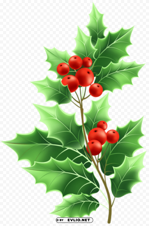 christmas mistletoe Transparent PNG images for printing